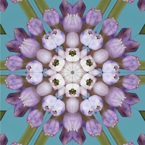 Men’s hygiene bundle NWT